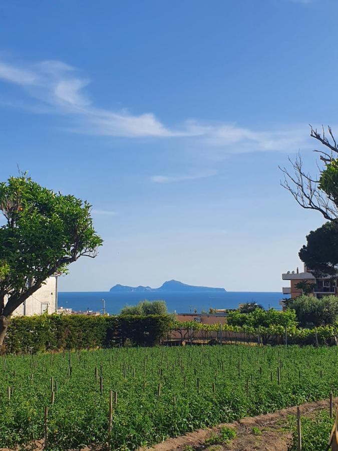Stone Garden B&B Ercolano Eksteriør billede