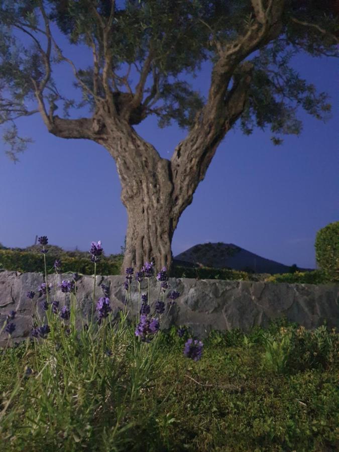 Stone Garden B&B Ercolano Eksteriør billede