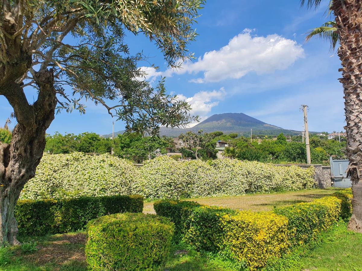 Stone Garden B&B Ercolano Eksteriør billede