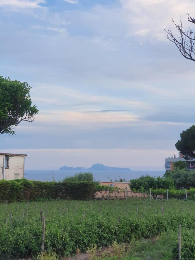 Stone Garden B&B Ercolano Eksteriør billede