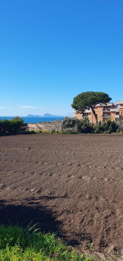 Stone Garden B&B Ercolano Eksteriør billede