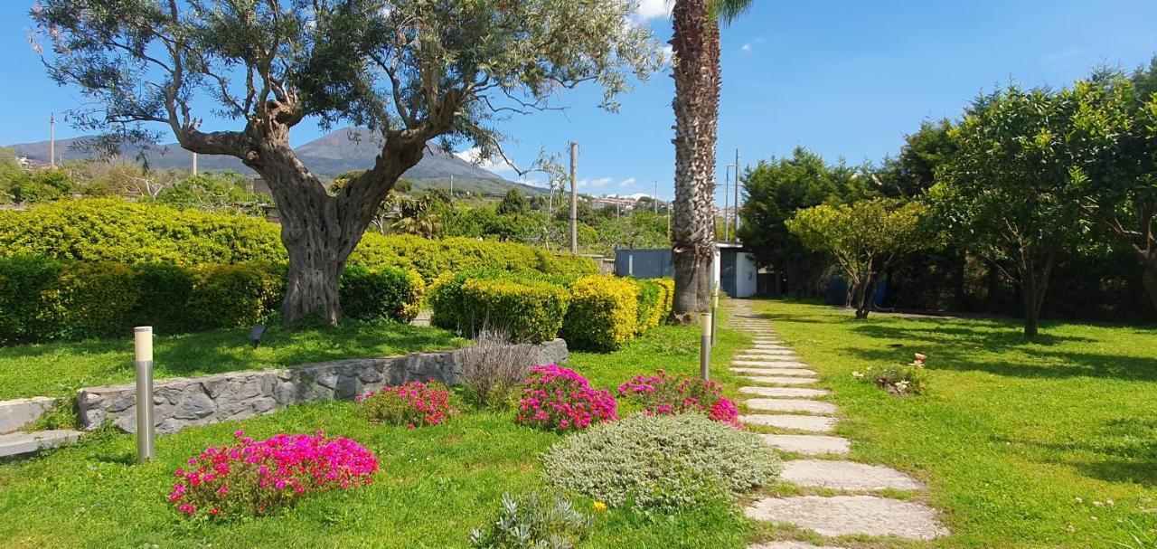 Stone Garden B&B Ercolano Eksteriør billede