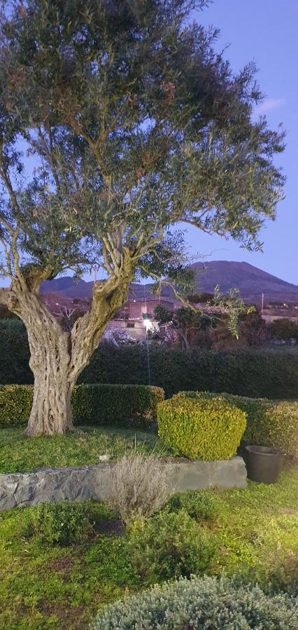 Stone Garden B&B Ercolano Eksteriør billede