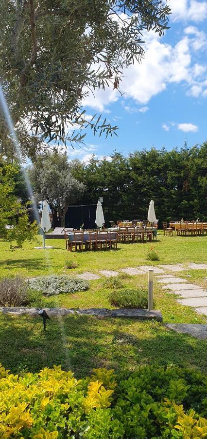Stone Garden B&B Ercolano Eksteriør billede