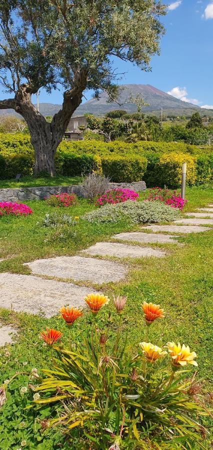 Stone Garden B&B Ercolano Eksteriør billede